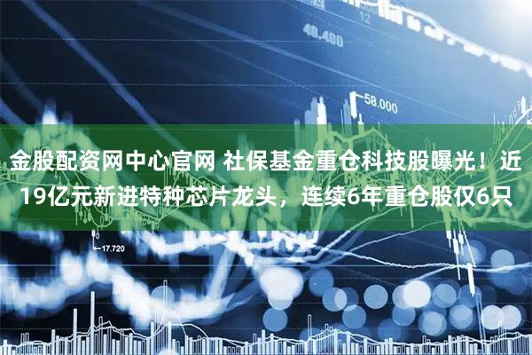 金股配资网中心官网 社保基金重仓科技股曝光！近19亿元新进特种芯片龙头，连续6年重仓股仅6只