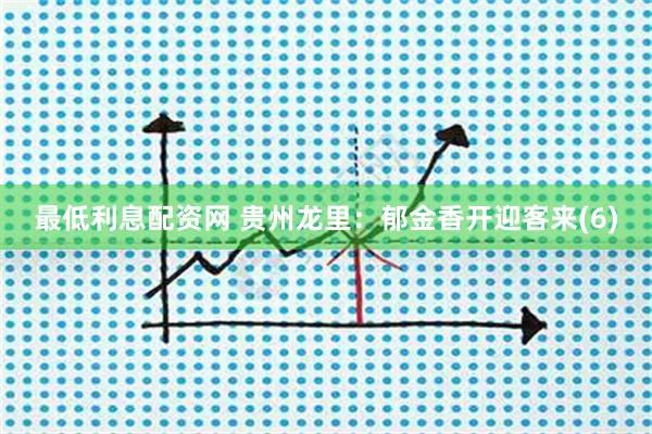 最低利息配资网 贵州龙里：郁金香开迎客来(6)